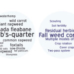 Figure 1 (left). These are the most often mentioned “challenging to control” weed species. In order from most common to least common: lamb’s quarters, Canada fleabane, foxtails, pigweed, common ragweed, giant ragweed, wild carrot, waterhemp, sow-thistle, velvetleaf, fall panicum, wild oats, vetch and bluegrass. Figure 2 (right). Management practices identified by agronomists that improved on-farm weed control. Management practices are ranked beginning with most often mentioned: fall weed control, residual herbicides, multiple modes of action, crop rotation, soil fertility, cover crops, scouting and two-pass herbicide applications.