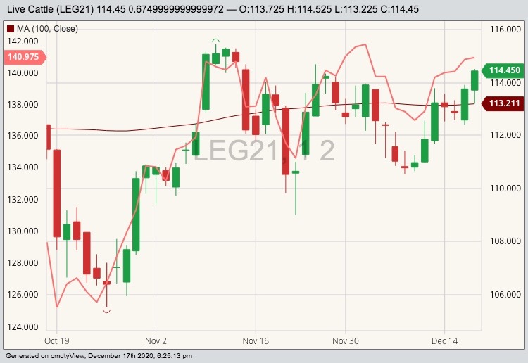 CME February 2021 live cattle (candlesticks) with 100-day moving average (red line) and January 2021 feeder cattle (pink line). (Barchart)
