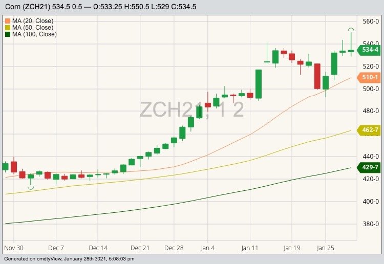 CBOT March 2021 corn with 20-, 50- and 100-day moving averages. (Barchart)
