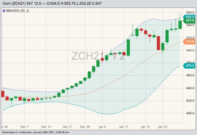 CBOT March 2021 corn with Bollinger (20,2) bands. (Barchart)
