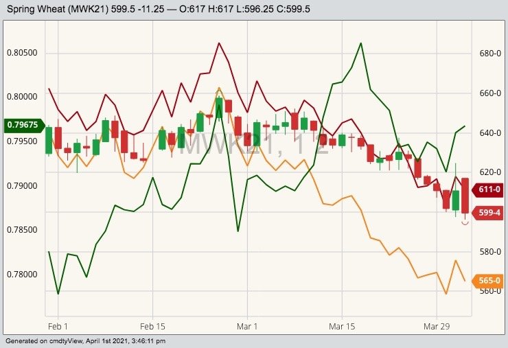 MGEX May 2021 wheat (candlesticks) with K.C. May 2021 wheat (orange line), CBOT May 2021 wheat (red line) and Canadian dollar in U.S. cents (green line). (Barchart)

