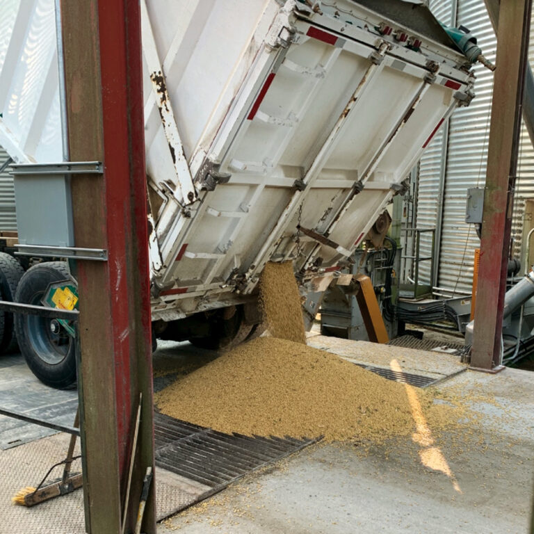 A new tool to market grain Country Guide