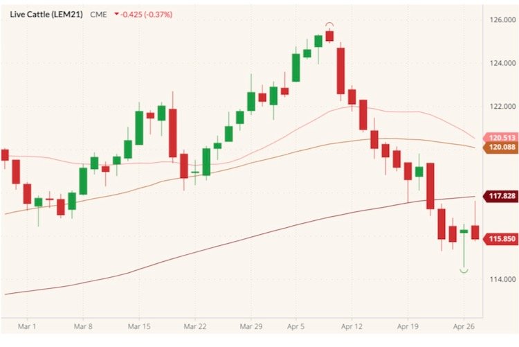 CME June 2021 live cattle (candlesticks) with 20-, 50- and 100-day moving averages (pink, brown, dark red lines). (Barchart)
