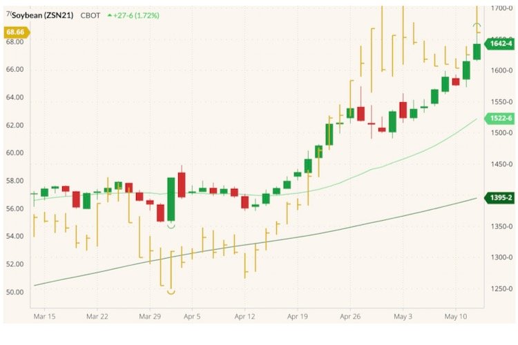 CBOT July 2021 soybeans (candlesticks) with 20- and 100-day moving averages (light and dark green lines) and CBOT May 2021 soyoil (yellow high/low/close and left column). (Barchart)
