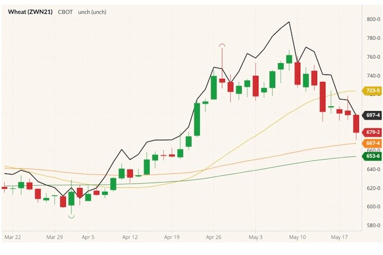 CBOT July 2021 wheat (candlesticks) with 20-, 50- and 100-day moving averages (yellow, orange, green lines) and MGEX July 2021 wheat (black line). (Barchart)
