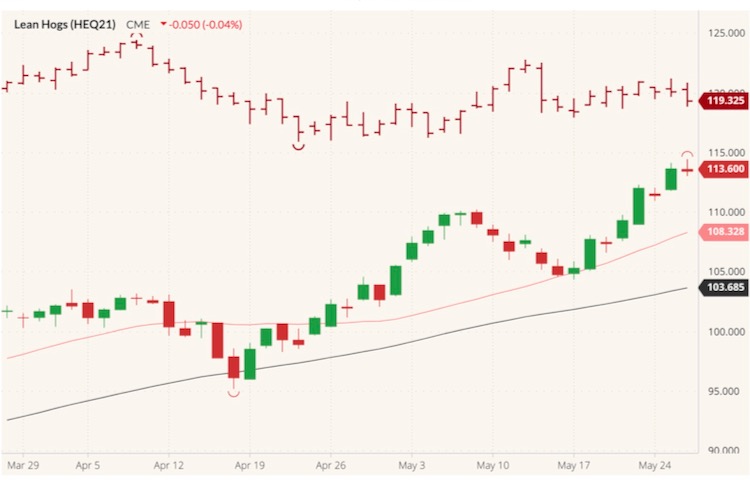CME August 2021 lean hogs (candlesticks) with 20- and 50-day moving averages (pink, black lines) and August 2021 live cattle (red open/high/low/close). (Barchart)
