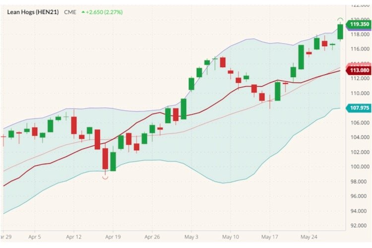 CME July 2021 lean hogs (candlesticks) with Bollinger bands (20,2) and CME lean hog cash index (dark red line). (Barchart)
