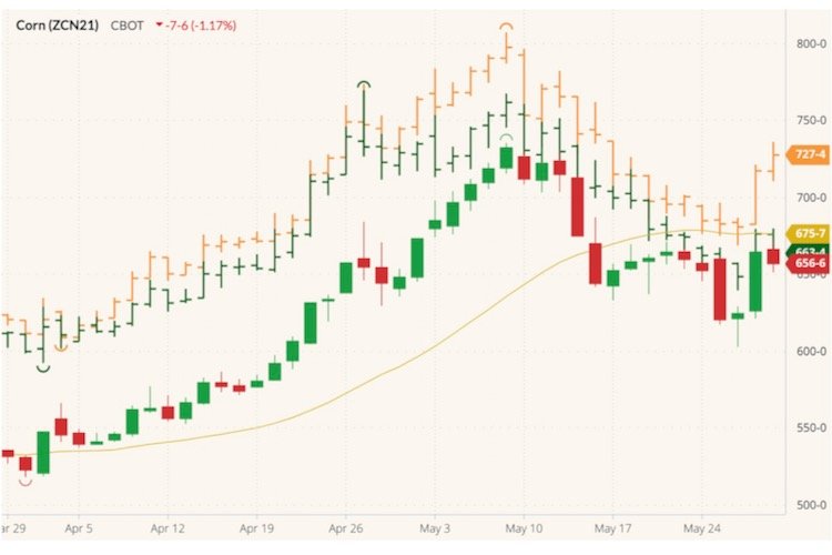 CBOT July 2021 corn (candlesticks) with MGEX July 2021 spring wheat (orange open/high/low/close) and CBOT July 2021 wheat (green OHLC). (Barchart)
