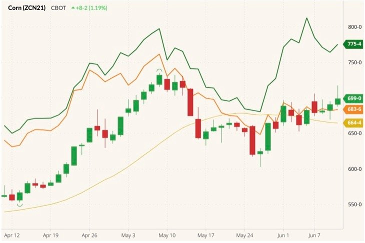 CBOT July 2021 corn (candlesticks) with 20-day moving average (yellow line), CBOT July 2021 wheat (orange line) and MGEX July 2021 spring wheat (dark green line). (Barchart)