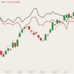CME July 2021 lean hogs (candlesticks) with June 2021 lean hogs (pink line), June 2021 live cattle (dark red line) and August 2021 live cattle (black line). (Barchart)