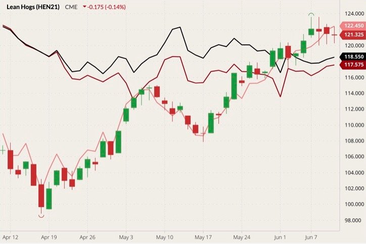 CME July 2021 lean hogs (candlesticks) with June 2021 lean hogs (pink line), June 2021 live cattle (dark red line) and August 2021 live cattle (black line). (Barchart)
