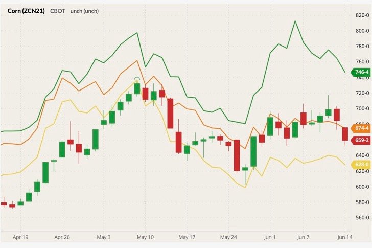 CBOT July 2021 corn (candlesticks) with CBOT, MGEX and K.C. July 2021 wheat (orange, green and yellow lines). (Barchart)
