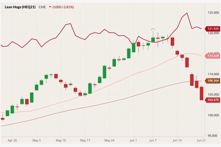 CME August 2021 lean hogs (candlesticks) with 20- and 50-day moving averages (pink and brown lines) and August 2021 live cattle (red line). (Barchart)
