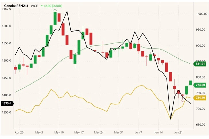 ICE July 2021 canola (candlesticks) with 20-day movjng average (green line), ICE November 2021 canola (yellow line) and CBOT July 2021 soybeans (black line, left column). (Barchart)
