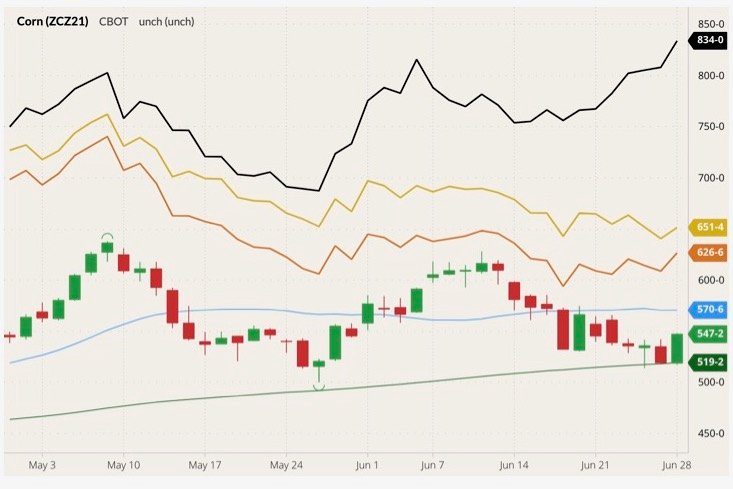 CBOT December 2021 corn with 20- and 100-day moving averages (blue and dark green lines) and MGEX, CBOT and K.C. September 2021  wheats (black, yellow and orange lines). (Barchart)
