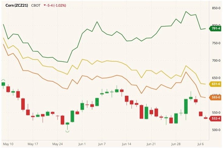 CBOT December 2021 corn (candlesticks) with MGEX, CBOT and K.C. December 2021 wheats (green, yellow and orange lines). (Barchart)
