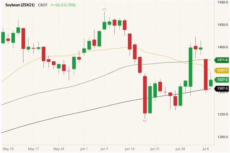 CBOT November 2021 soybeans (candlesticks) with 20-, 50- and 100-day moving averages (yellow, green and black lines). (Barchart)
