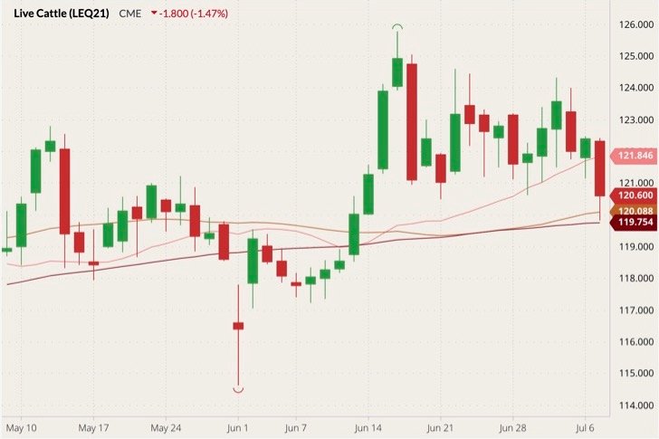 CME August 2021 live cattle (candlesticks) with 20-, 50- and 100-day moving averages (pink, brown and dark red lines). (Barchart)
