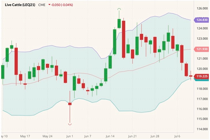 CME August 2021 live cattle (candlesticks) with Bollinger bands (20,2). (Barchart)
