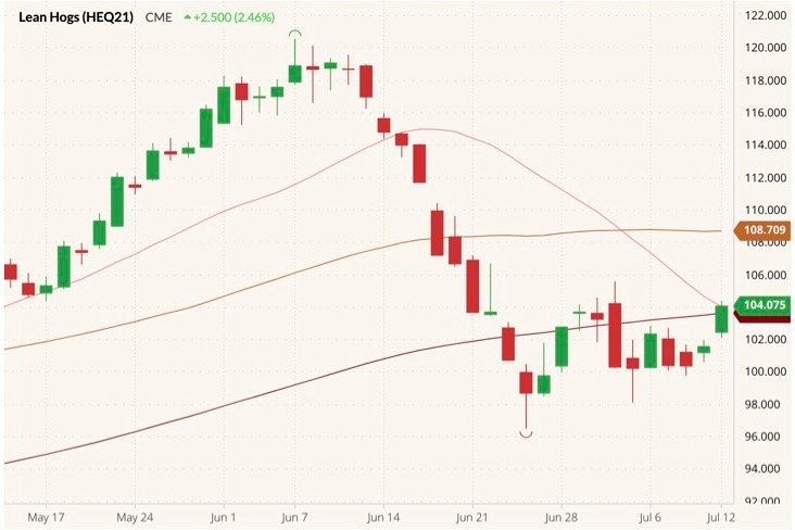 CME August 2021 lean hogs (candlesticks) with 20-, 50- and 100-day moving averages (pink, brown and dark red lines). (Barchart)
