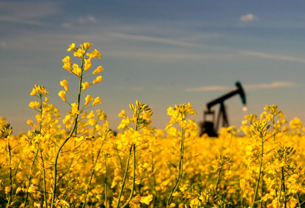 Total farm assets in Alberta rose by just over $8 billion and nearly all of it was due to a jump in the value of land.