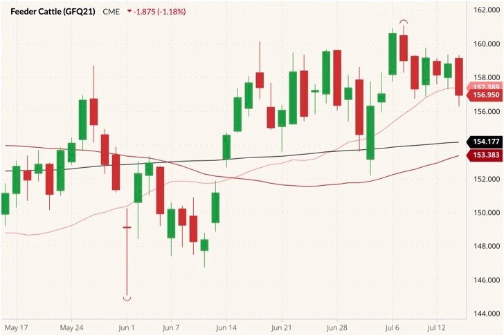 CME August 2021 feeder cattle (candlesticks) with 20-, 50- and 100-day moving averages (pink, dark red and black lines). (Barchart)
