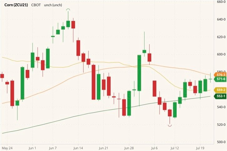 CBOT September 2021 corn (candlesticks) with 20-, 50- and 100-day moving averages (yellow, orange and dark green lines). (Barchart)
