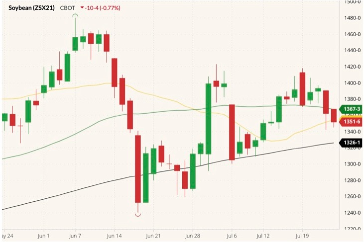 CBOT November 2021 soybeans (candlesticks) with 20-, 50- and 100-day moving averages (yellow, green and black lines). (Barchart)
