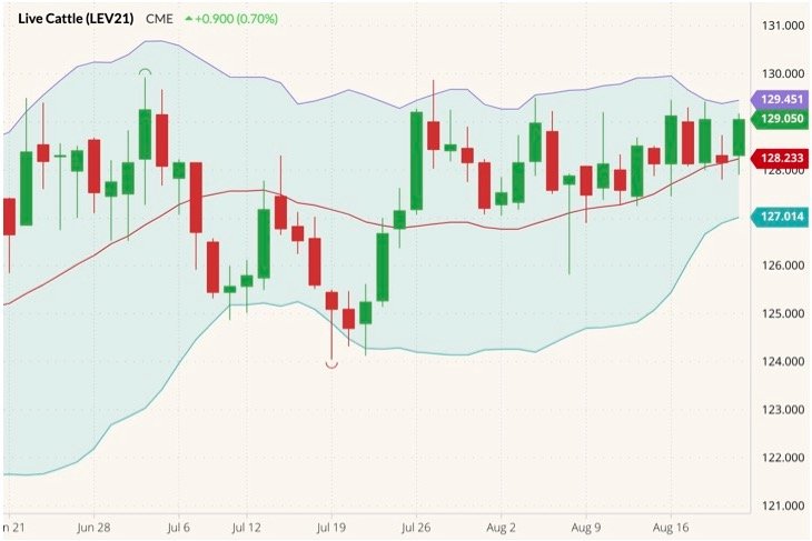 CME October 2021 live cattle (candlesticks) with Bollinger bands (20,2). (Barchart)
