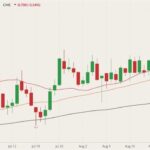 CME October 2021 live cattle (candlesticks) with 20-, 50- and 100-day moving averages (red, brown and black lines). (Barchart)