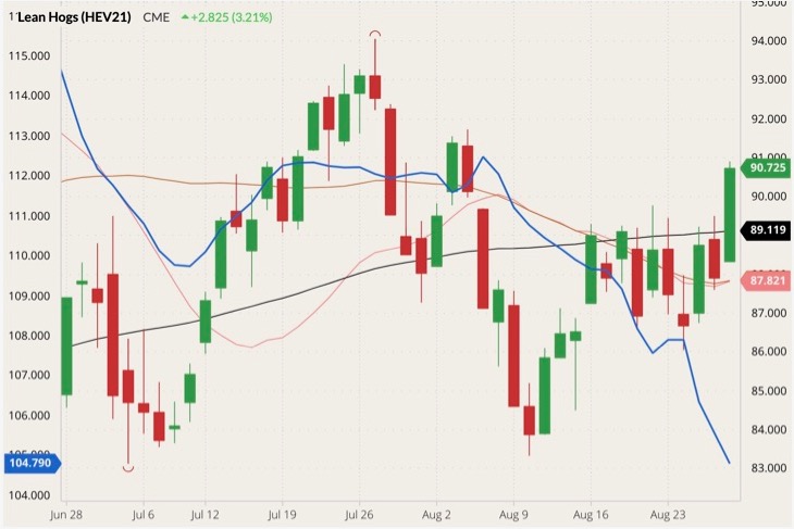 CME October 2021 lean hogs (candlesticks) with 20-, 50- and 100-day moving averages (pink, brown and black lines) and lean hog cash index (blue line, left column). (Barchart)
