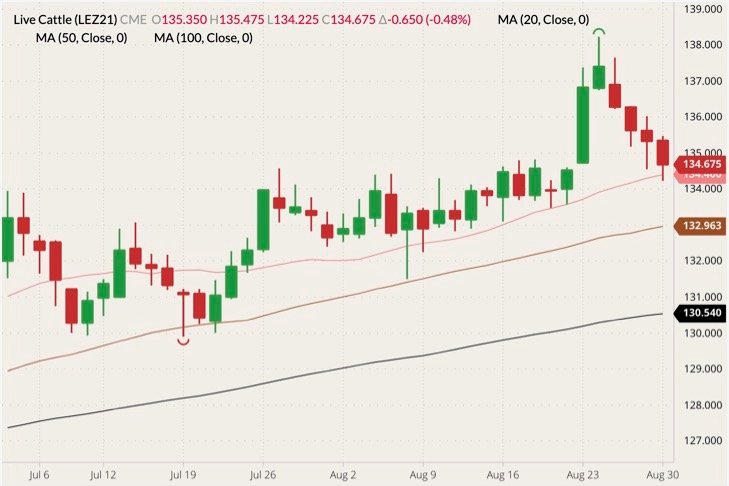 CME December 2021 live cattle (candlesticks) with 20-, 50- and 100-day moving averages (pink, brown and black lines). (Barchart)
