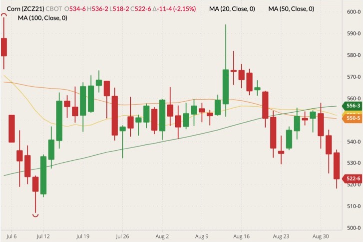 CBOT December 2021 corn (candlesticks) with 20-, 50- and 100-day moving averages (yellow, orange and green lines). (Barchart)
