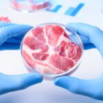 lab meat