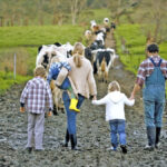Farm psychology: aging and generativity