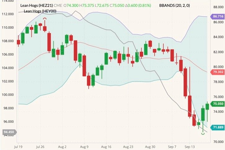 CME December 2021 lean hogs (candlesticks) with Bollinger bands (20,2) and CME cash lean hog index (grey line, left column). (Barchart)
