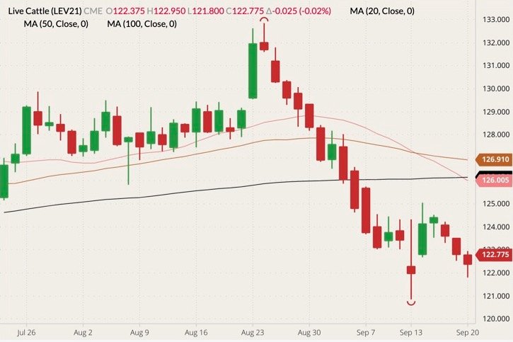 CME October 2021 live cattle (candlesticks) with 20-, 50- and 100-day moving averages (pink, brown and black lines). (Barchart)
