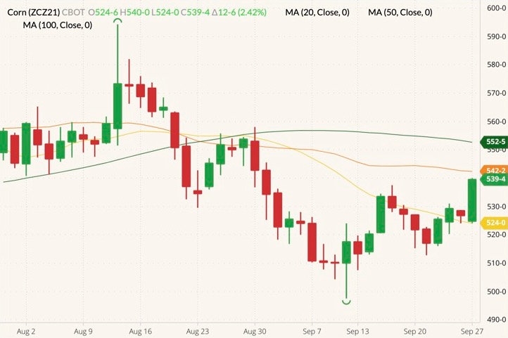 CBOT December 2021 corn (candlesticks) with 20-, 50- and 100-day moving averages (yellow, orange and dark green lines). (Barchart)
