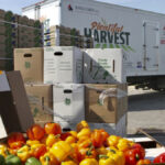 “We try to make it easy for farmers,” says Food Bank Canada’s Tania Little. Donors range from big marketing boards to individual producers.