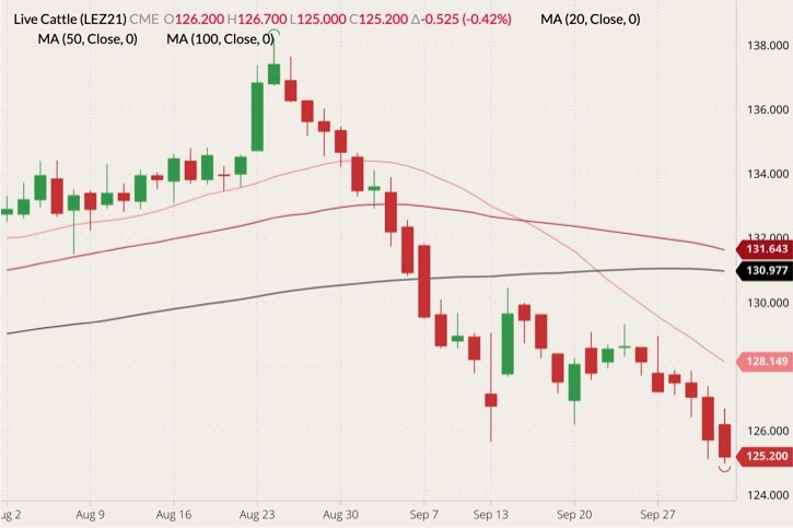 CME December 2021 live cattle (candlesticks) with 20-, 50- and 100-day moving averages (pink, dark red and black lines). (Barchart)

