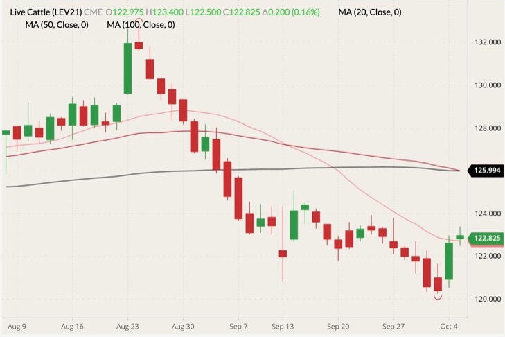 CME October 2021 live cattle (candlesticks) with 20-, 50- and 100-day moving averages (pink, dark red and black lines). (Barchart)
