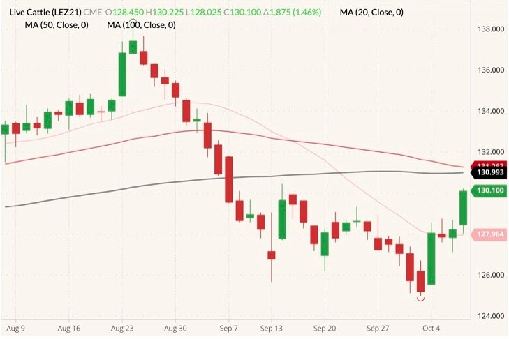 CME December 2021 live cattle (candlesticks) with 20-, 50- and 100-day moving averages (pink, dark red and black lines). (Barchart)
