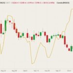CBOT November 2021 soybeans (candlesticks) with ICE November 2021 canola (yellow line, left column). (Barchart)
