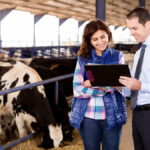 As in most farm decisions, it really does come down to cash flow and timing.
