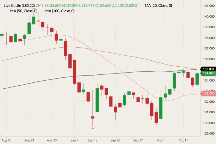 CME February 2022 live cattle (candlesticks) with 20-, 50- and 100-day moving averages (pink, brown and black lines). (Barchart)
