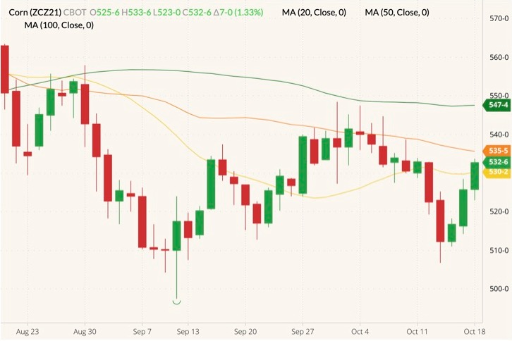 CBOT December 2021 corn (candlesticks) with 20-, 50- and 100-day moving averages (yellow, orange and dark green lines). (Barchart)
