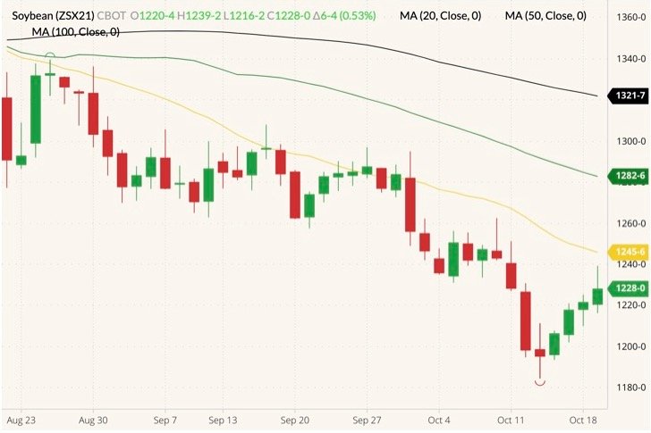 CBOT November 2021 soybeans (candlesticks) with 20-, 50- and 100-day moving averages (yellow, green and black lines). (Barchart)
