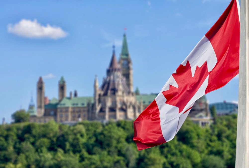 Photo: daoleduc/iStock/Getty Images Plus
