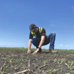 Professional farming