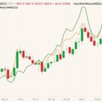 CBOT December 2021 wheat (candlesticks) with K.C. December 2021 wheat (orange line) and MGEX December 2021 wheat (green line, left column). (Barchart)